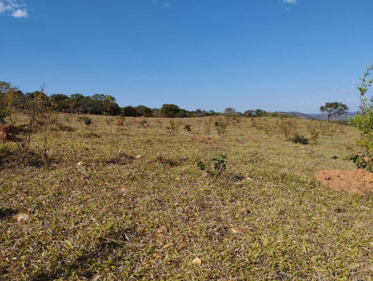 Chácara à venda com 3 quartos, 11100000m² - Foto 11