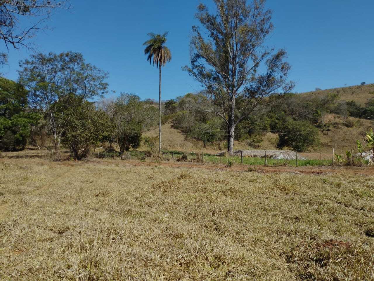 Chácara à venda com 3 quartos, 11100000m² - Foto 6