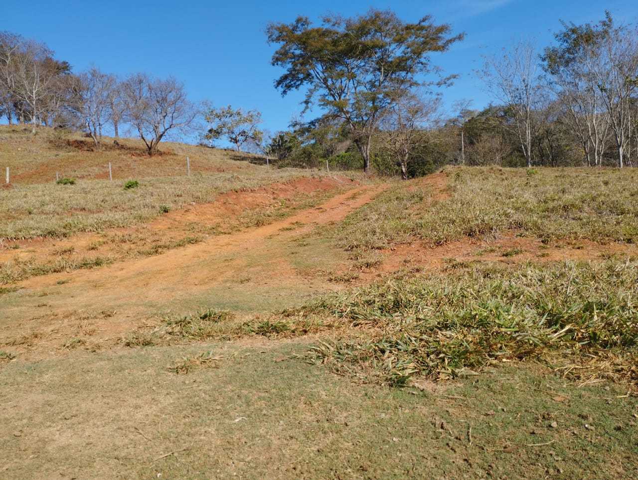 Chácara à venda com 3 quartos, 11100000m² - Foto 13