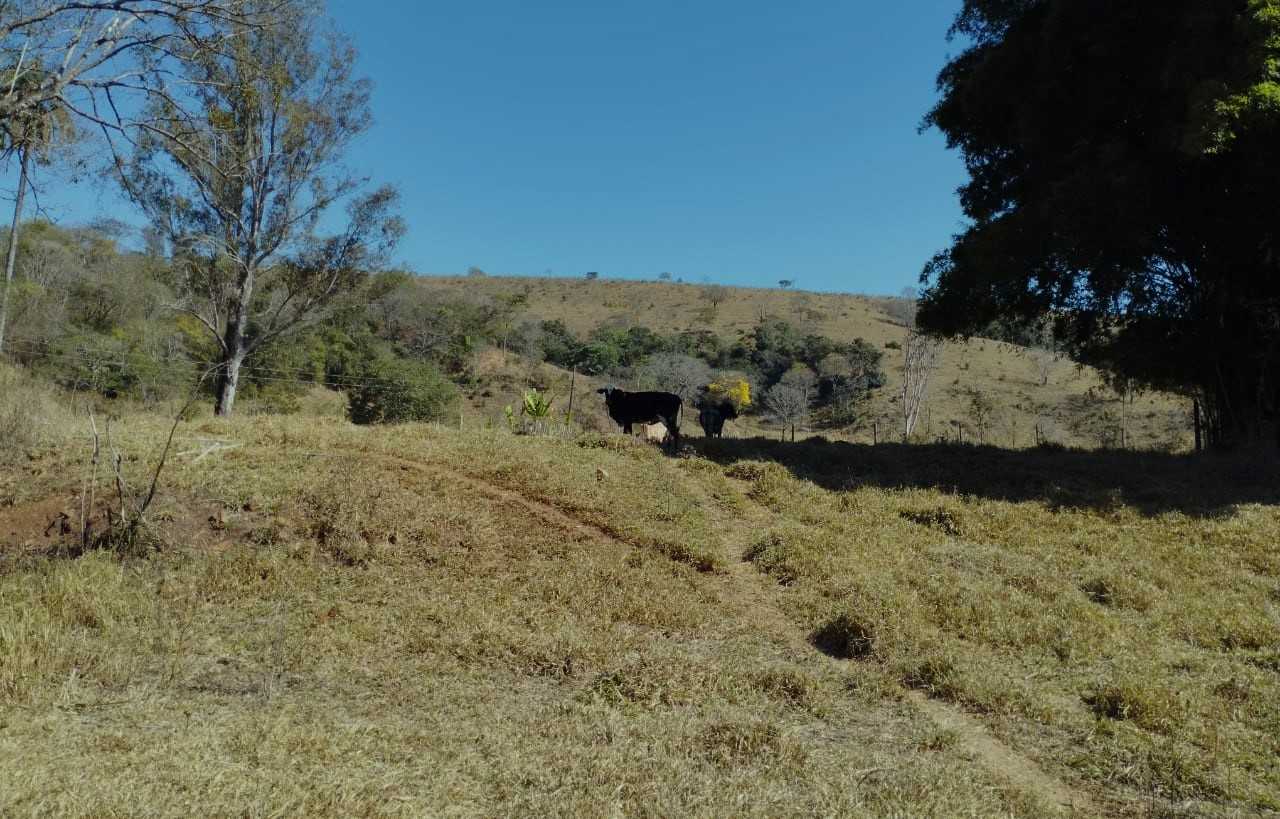 Chácara à venda com 3 quartos, 11100000m² - Foto 7