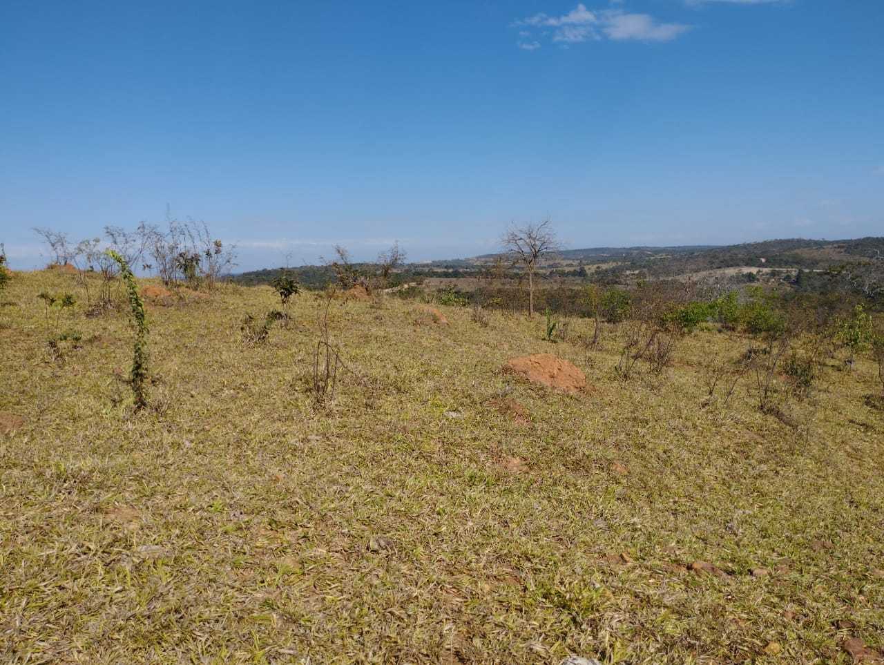 Chácara à venda com 3 quartos, 11100000m² - Foto 2