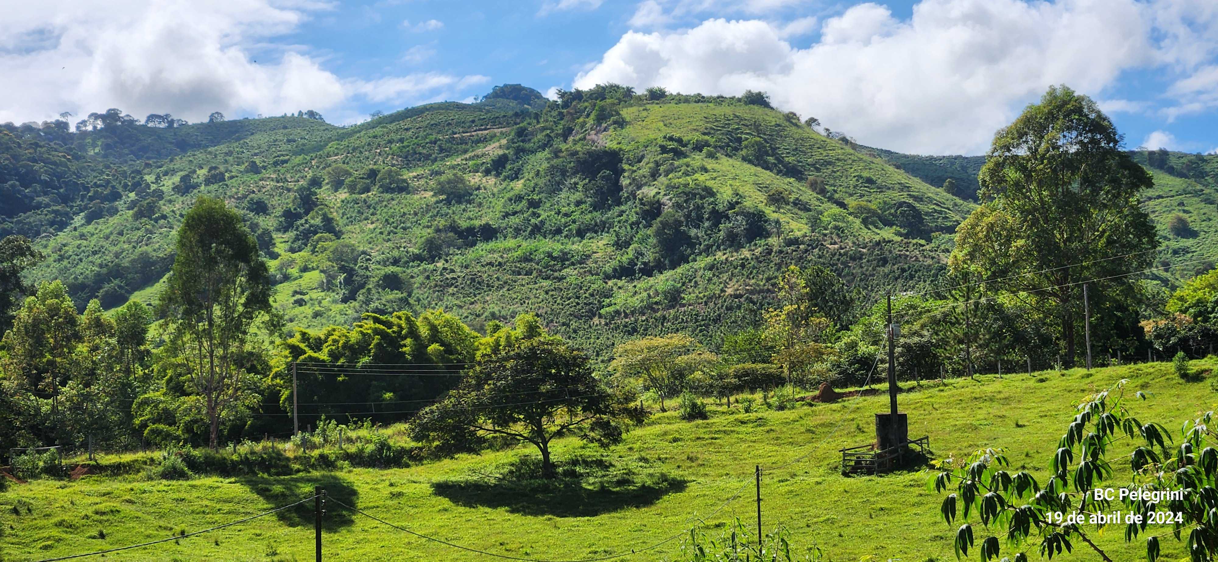 Chácara à venda com 4 quartos, 1500000m² - Foto 9