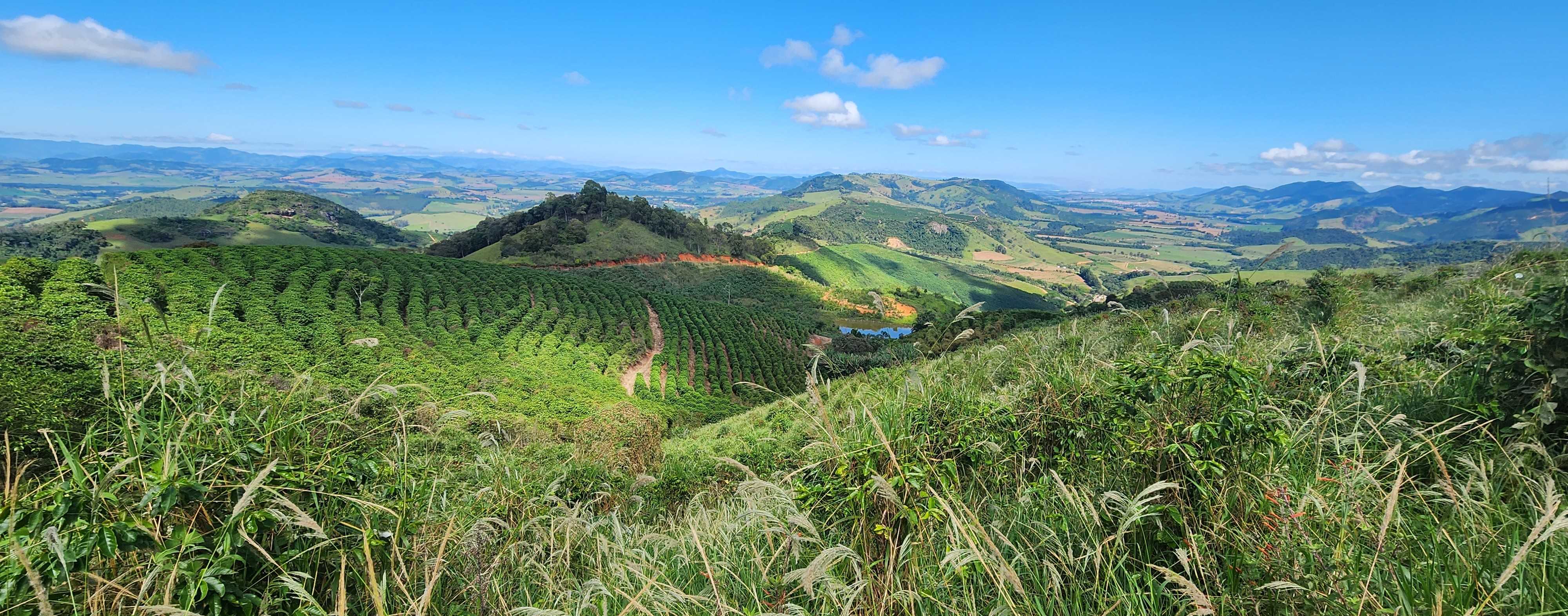 Chácara à venda com 4 quartos, 1500000m² - Foto 15