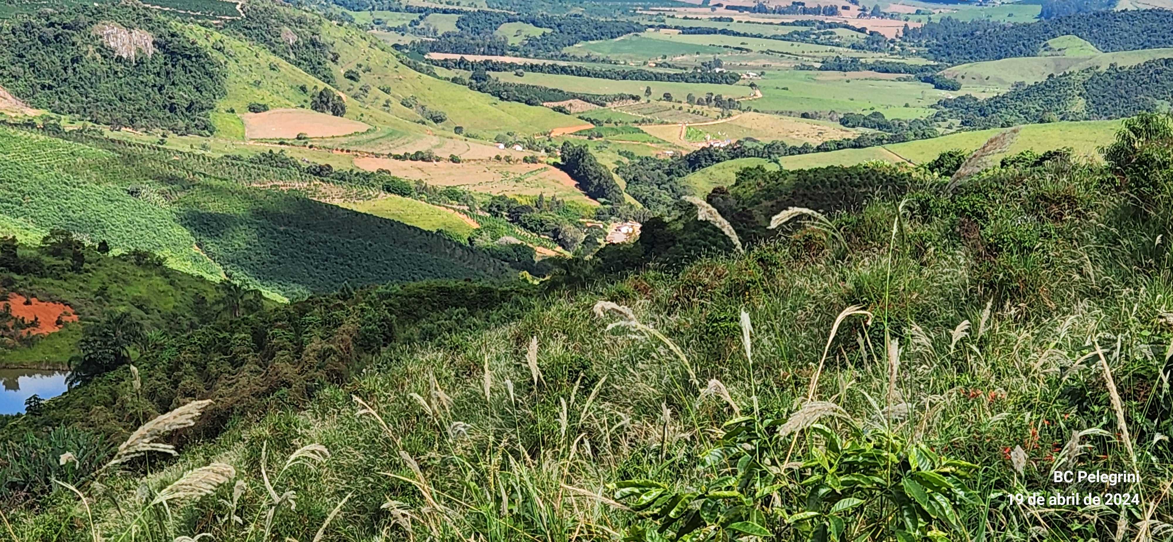 Chácara à venda com 4 quartos, 1500000m² - Foto 16