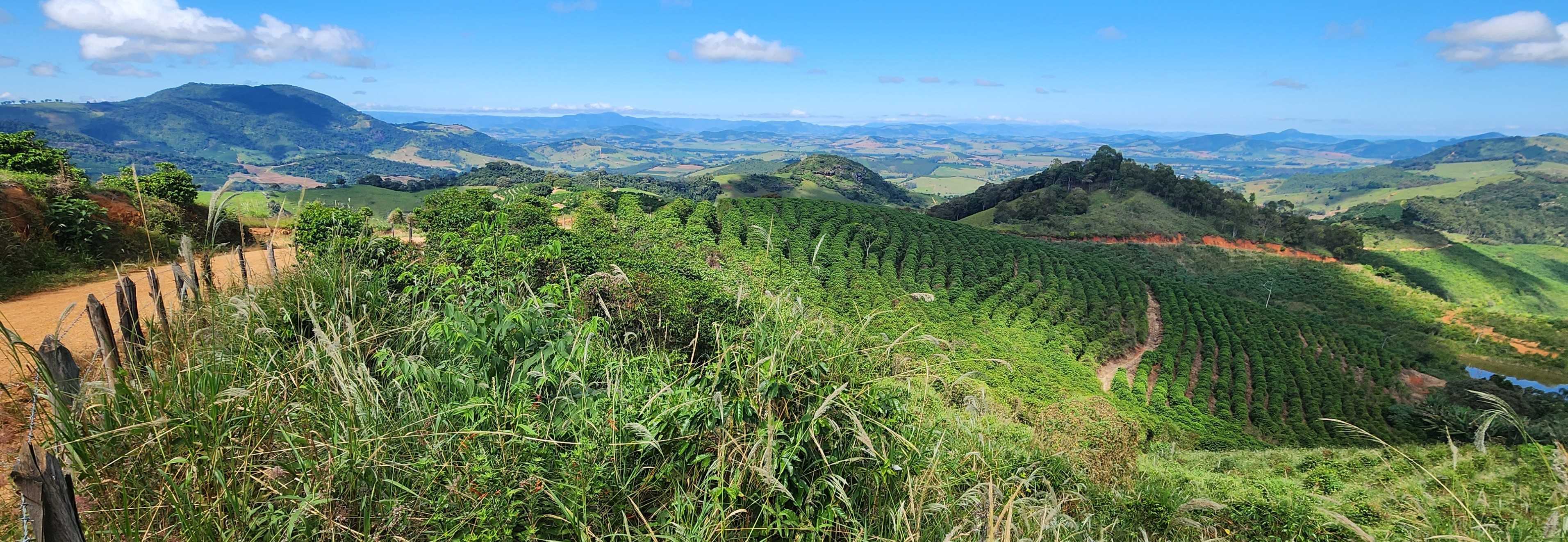 Chácara à venda com 4 quartos, 1500000m² - Foto 14