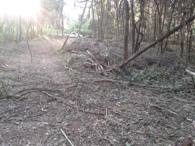 Chácara à venda com 1 quarto, 1000m² - Foto 5