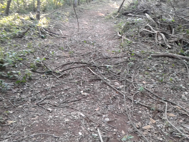 Chácara à venda com 1 quarto, 1000m² - Foto 2