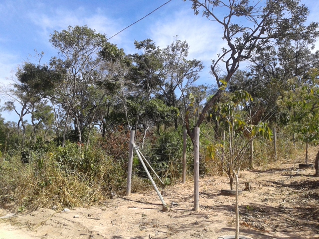 Chácara à venda com 1 quarto, 1000m² - Foto 1