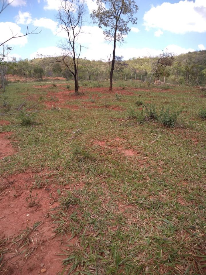 Chácara à venda com 1 quarto, 1000m² - Foto 15