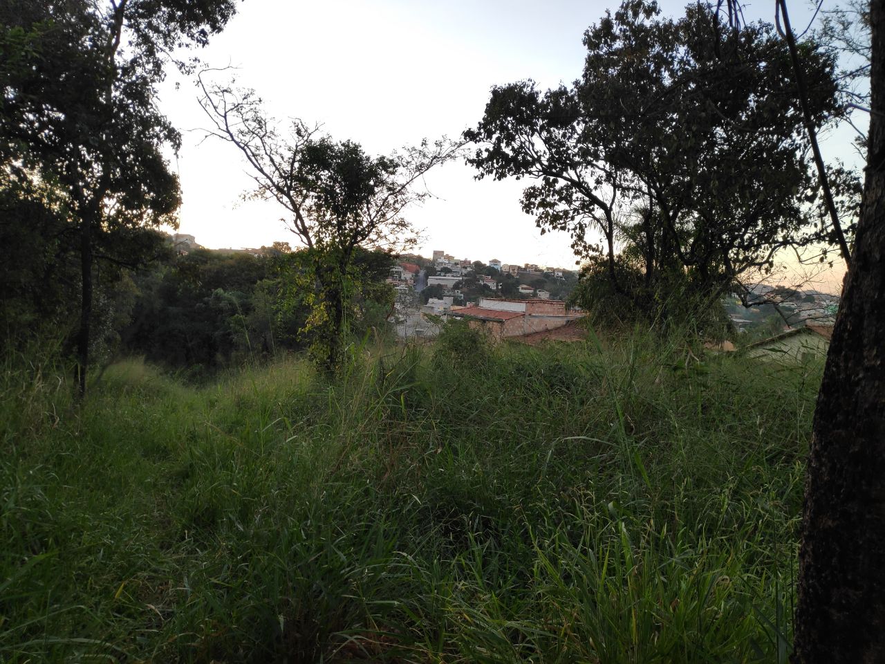 Terreno à venda, 200m² - Foto 7