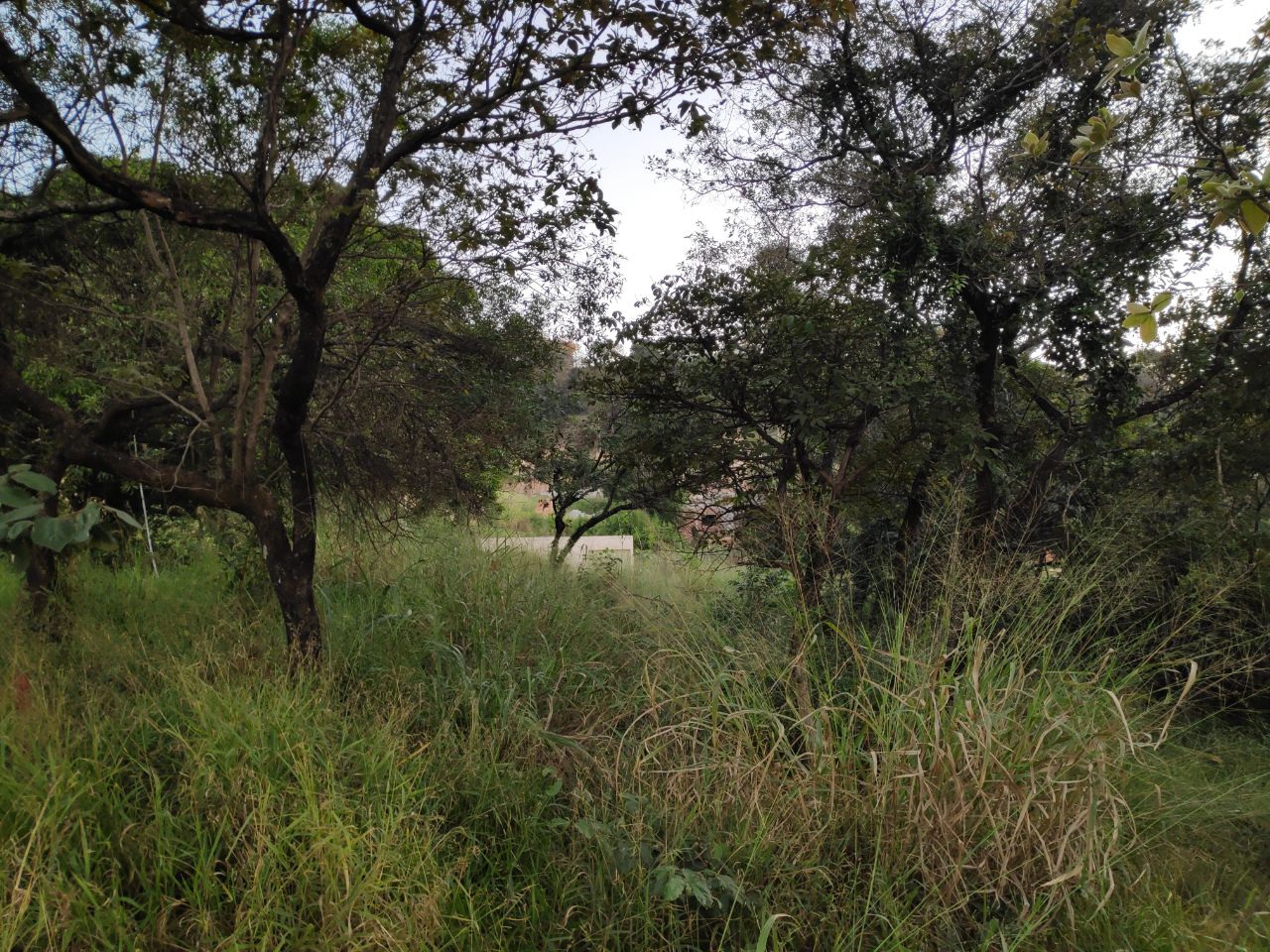 Terreno à venda, 200m² - Foto 8