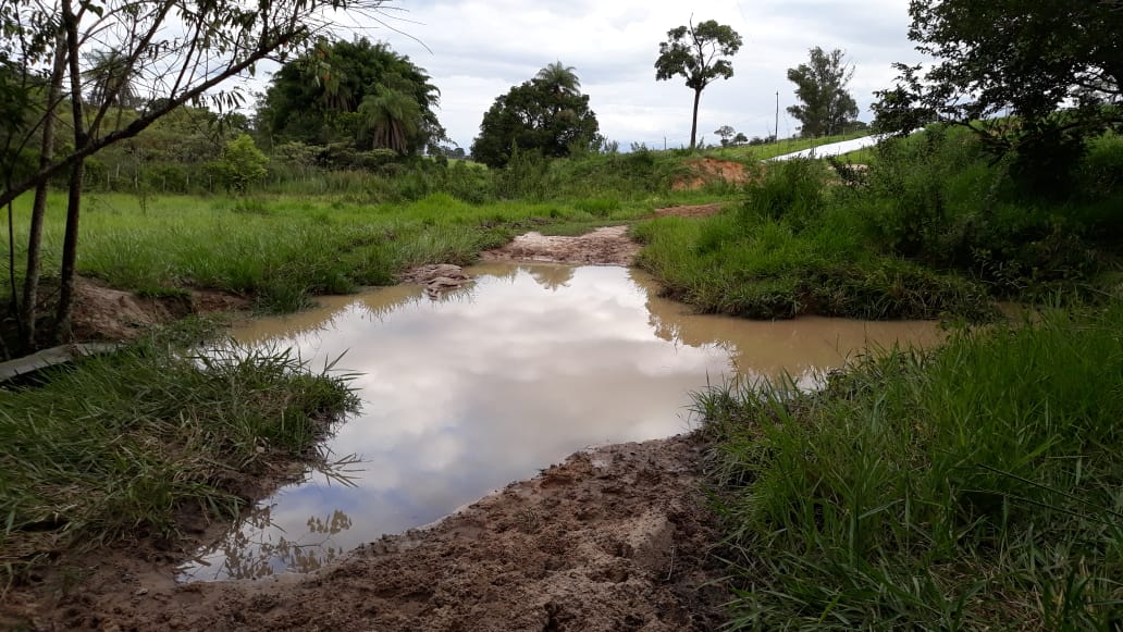 Chácara à venda com 1 quarto, 20000m² - Foto 10