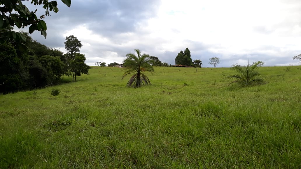 Chácara à venda com 1 quarto, 20000m² - Foto 2