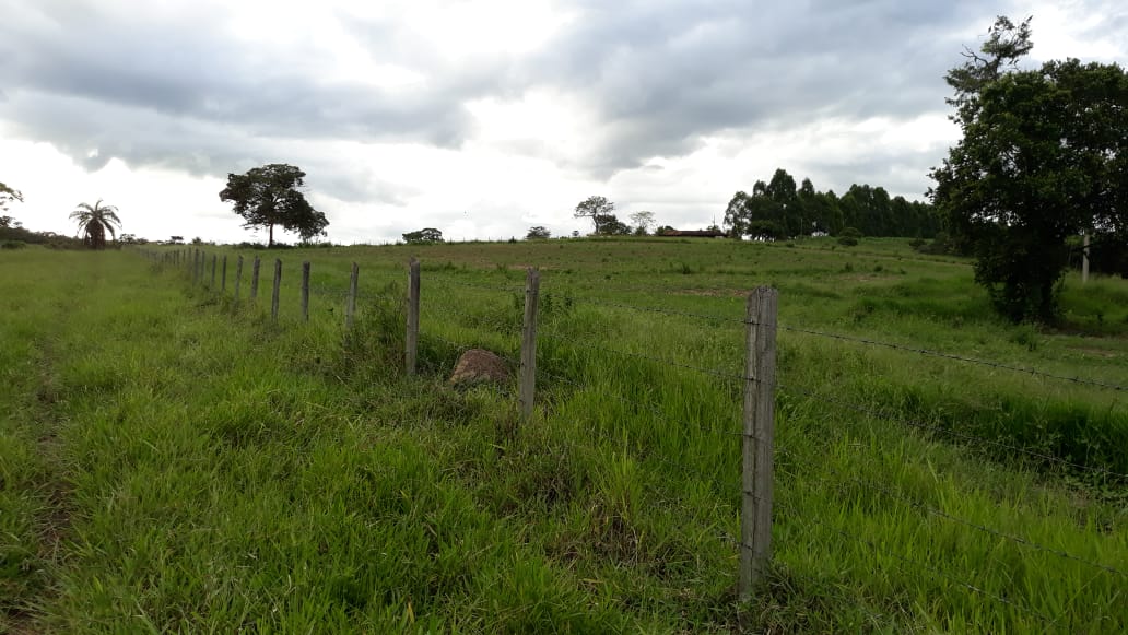 Chácara à venda com 1 quarto, 20000m² - Foto 4