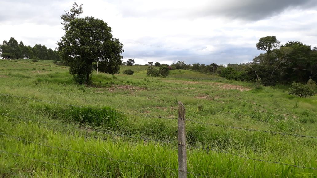 Chácara à venda com 1 quarto, 20000m² - Foto 5