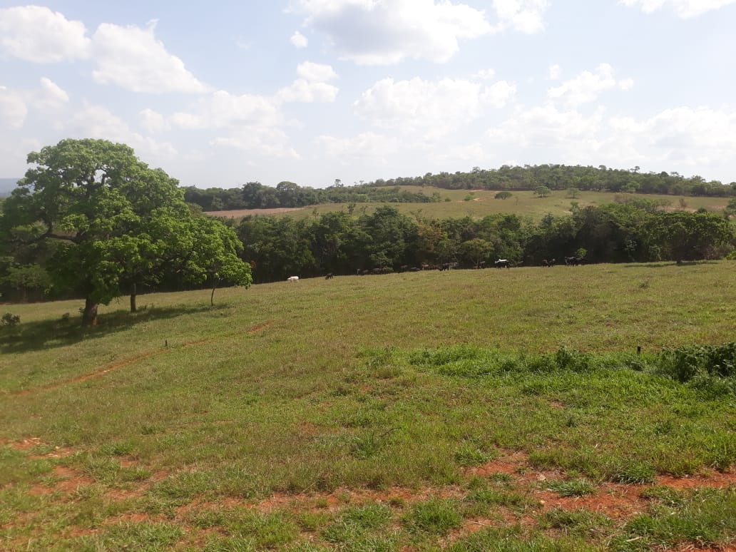 Chácara à venda com 1 quarto, 20000m² - Foto 6