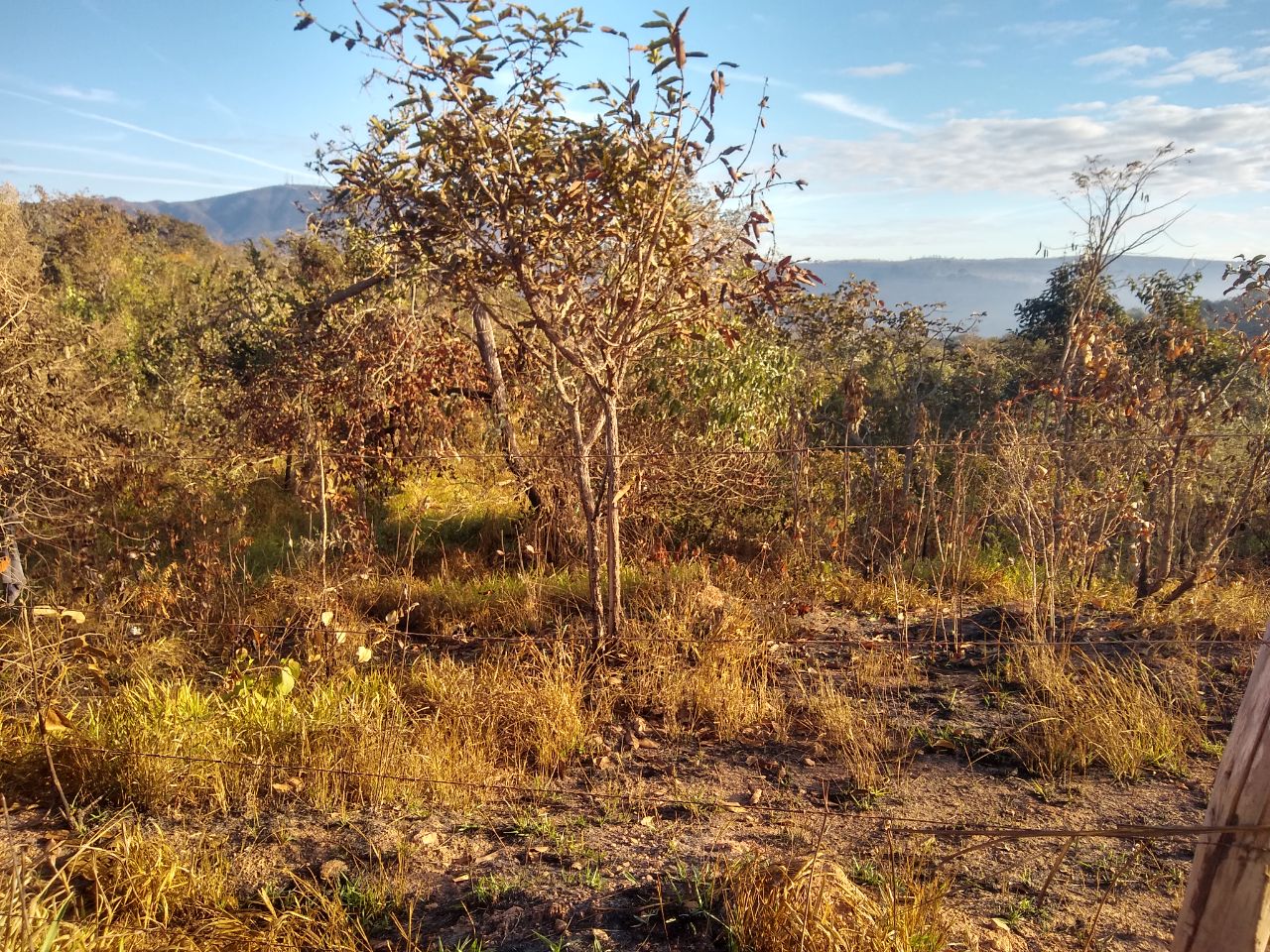 Terreno à venda, 360m² - Foto 1