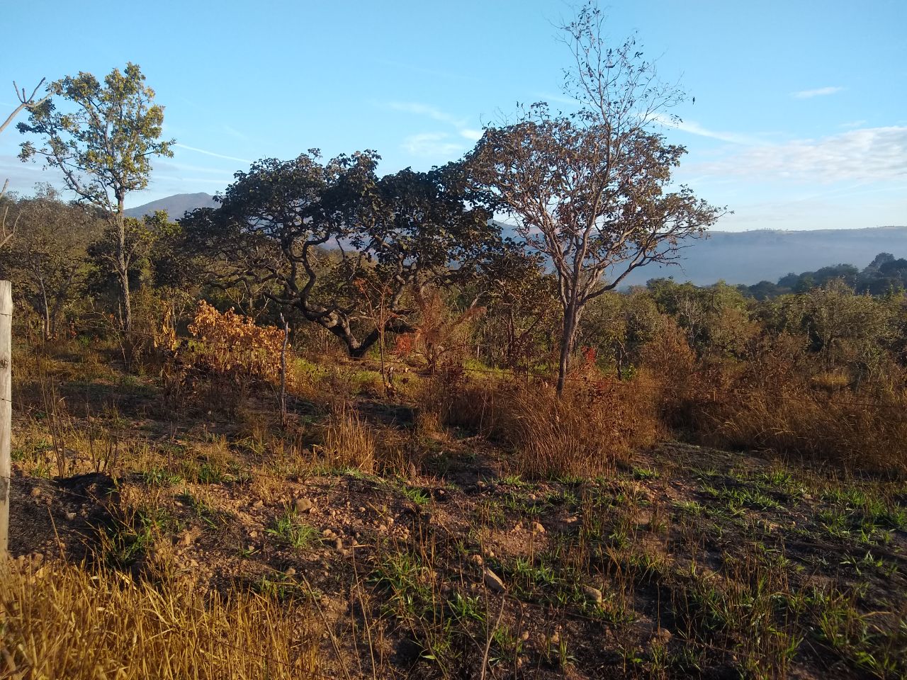 Terreno à venda, 360m² - Foto 2