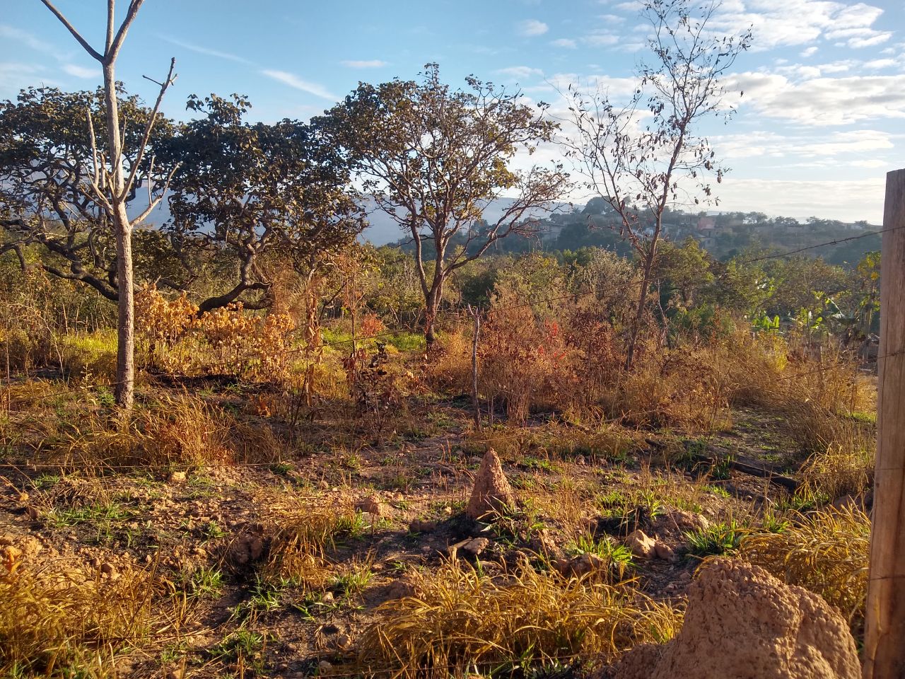 Terreno à venda, 360m² - Foto 3