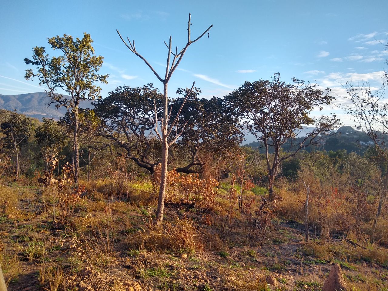 Terreno à venda, 360m² - Foto 4