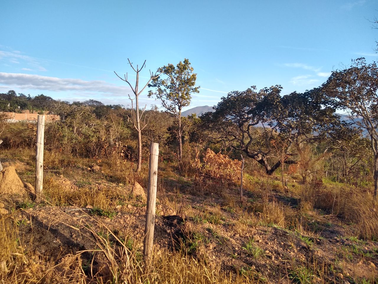 Terreno à venda, 360m² - Foto 6