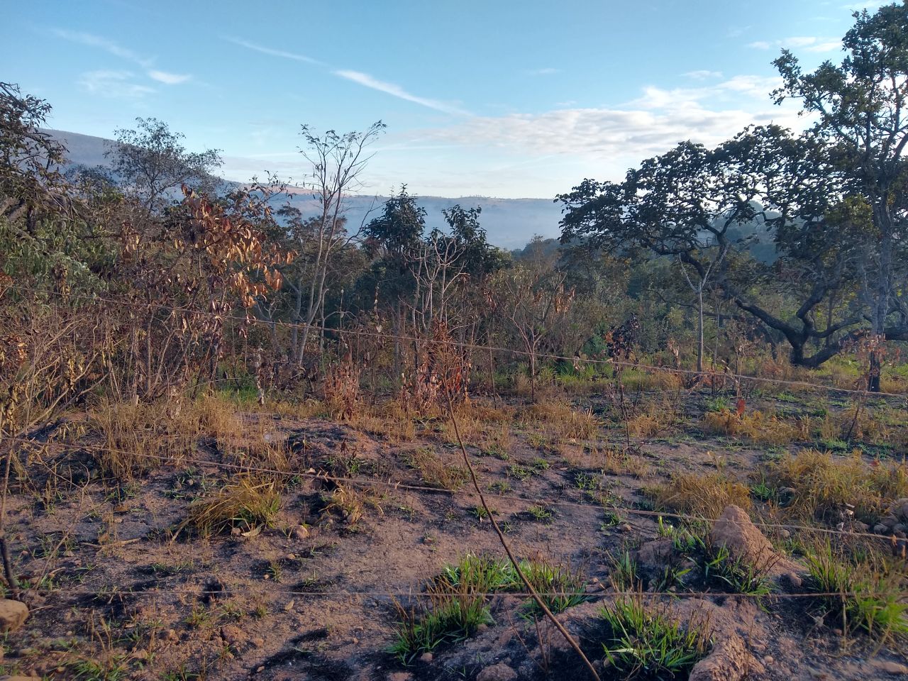 Terreno à venda, 360m² - Foto 7