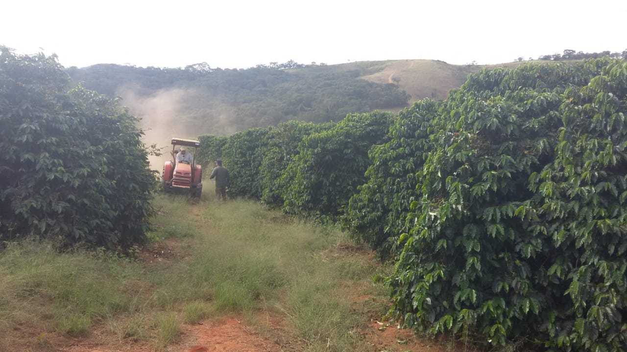 Chácara à venda com 2 quartos, 335000m² - Foto 9