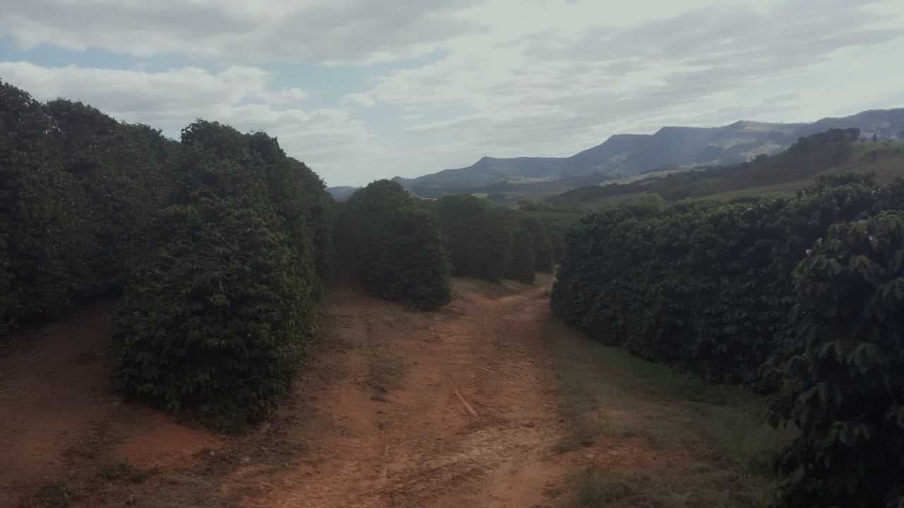 Chácara, 2 quartos, 34 hectares - Foto 1