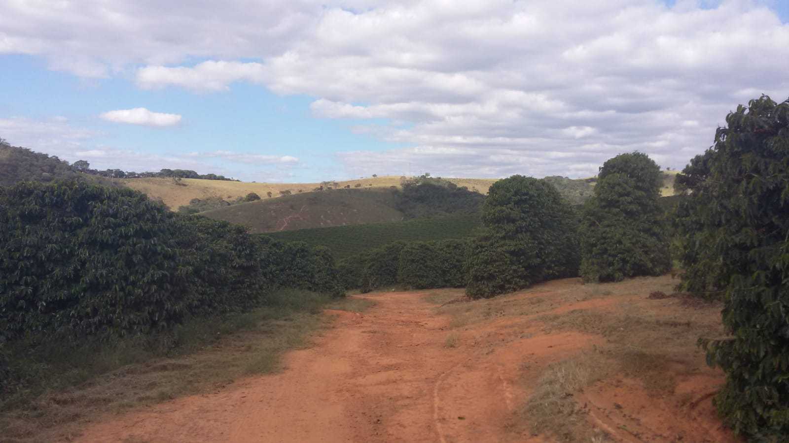 Chácara, 2 quartos, 34 hectares - Foto 4