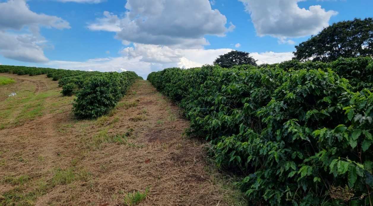 Chácara à venda com 2 quartos, 374300m² - Foto 6