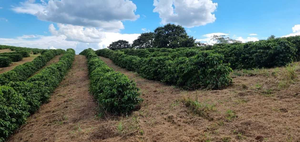 Chácara à venda com 2 quartos, 374300m² - Foto 7