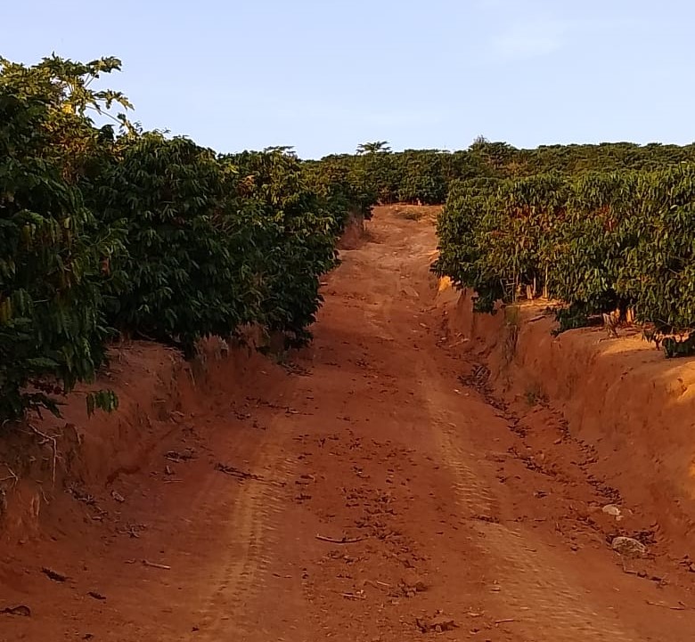 Chácara à venda com 3 quartos, 53m² - Foto 14