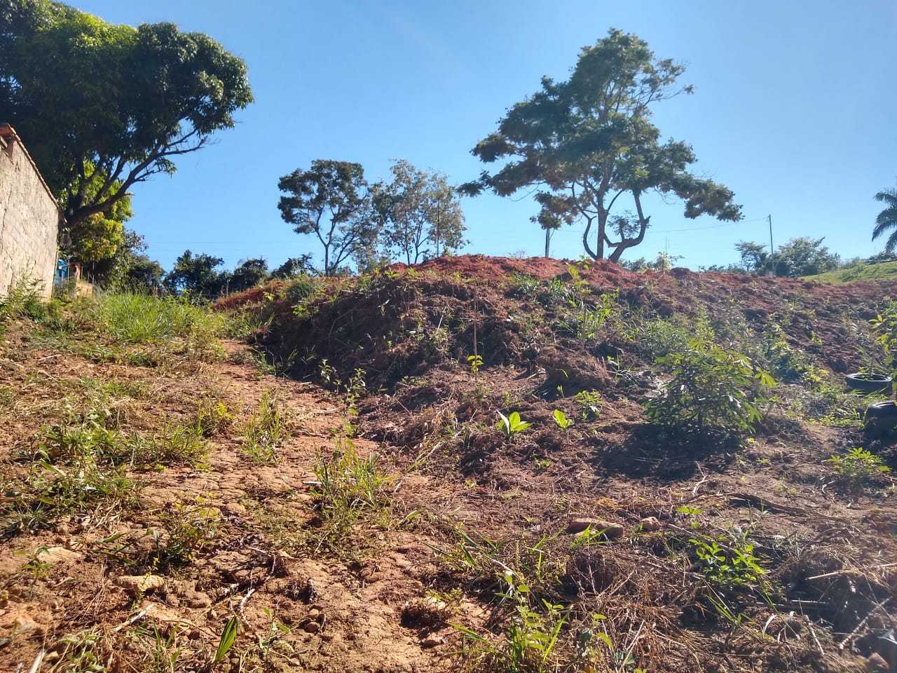 Chácara à venda com 1 quarto, 2500m² - Foto 5