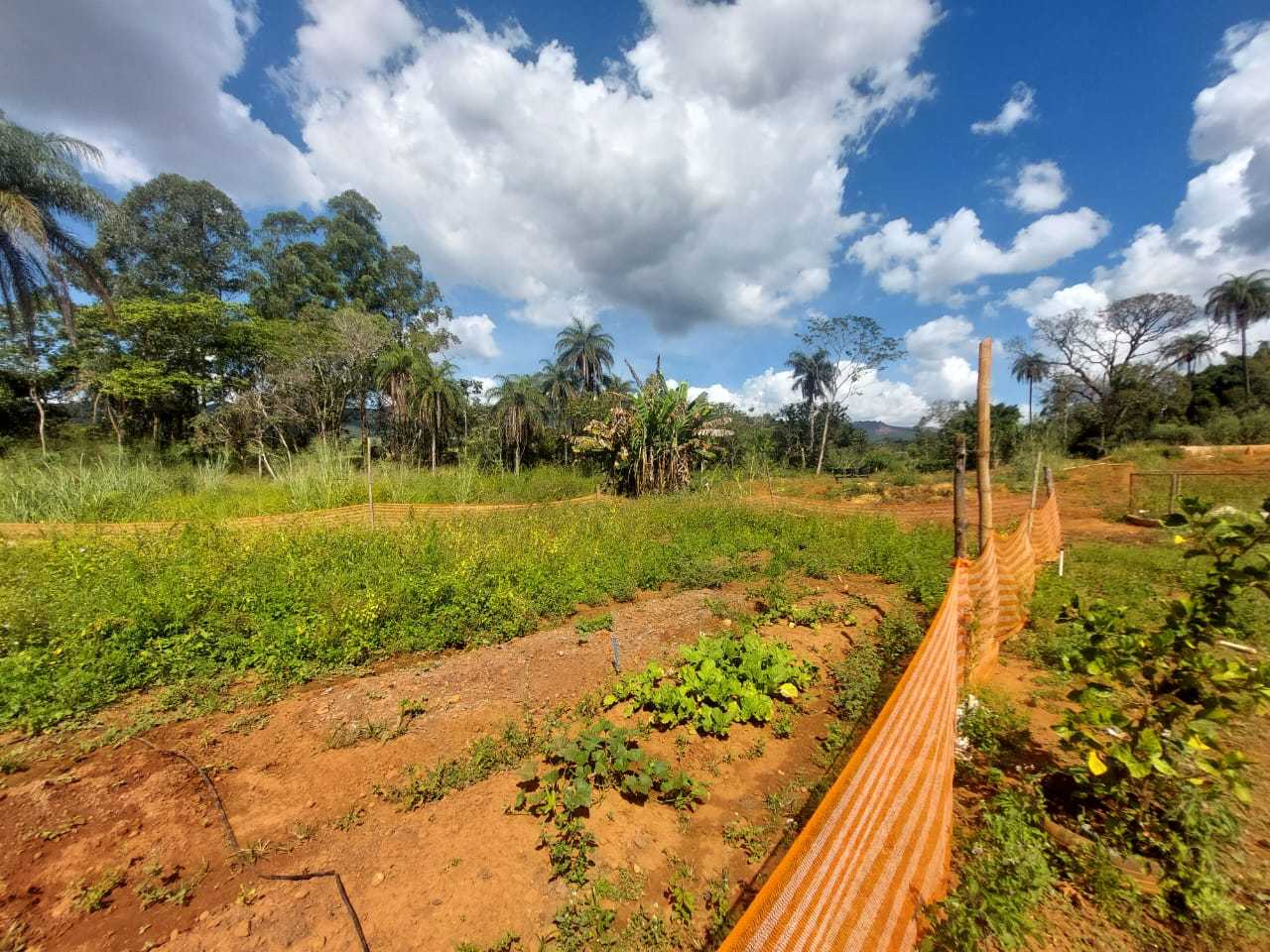 Chácara à venda com 1 quarto, 1000m² - Foto 6