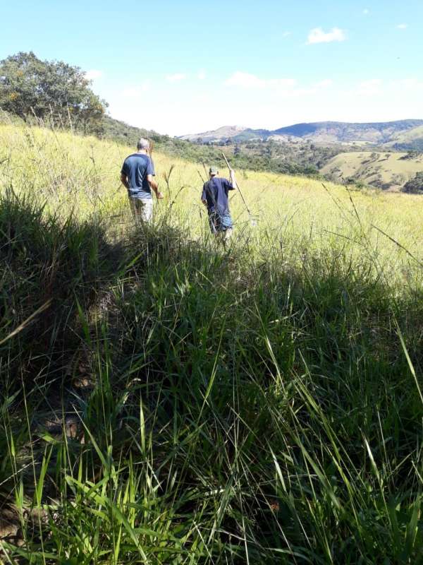 Terreno à venda, 150000m² - Foto 3