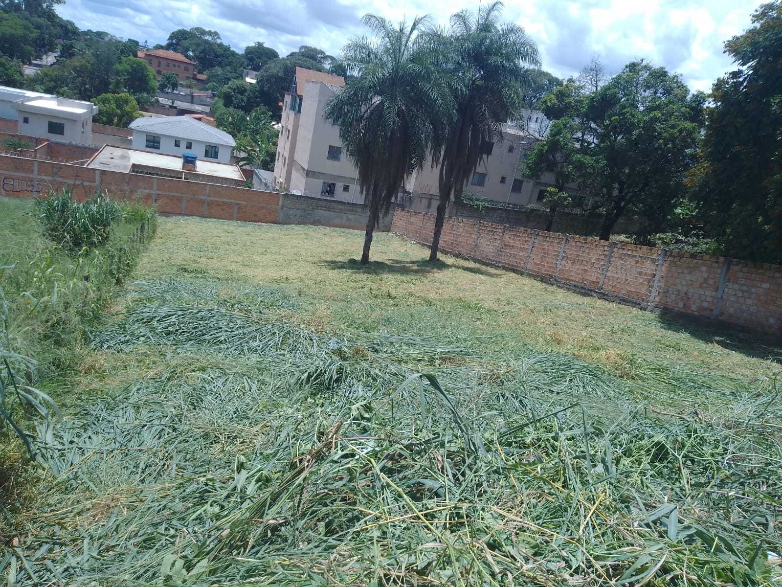 Terreno à venda, 1000m² - Foto 1