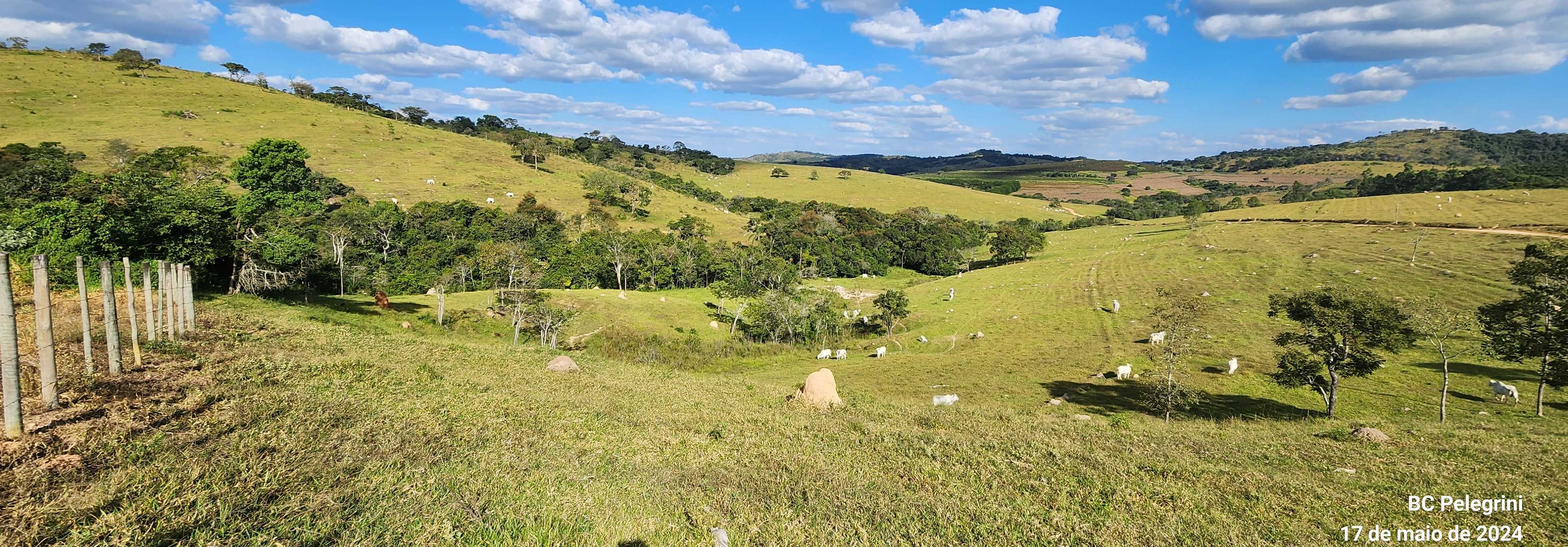 Chácara à venda com 9 quartos, 9450000m² - Foto 10