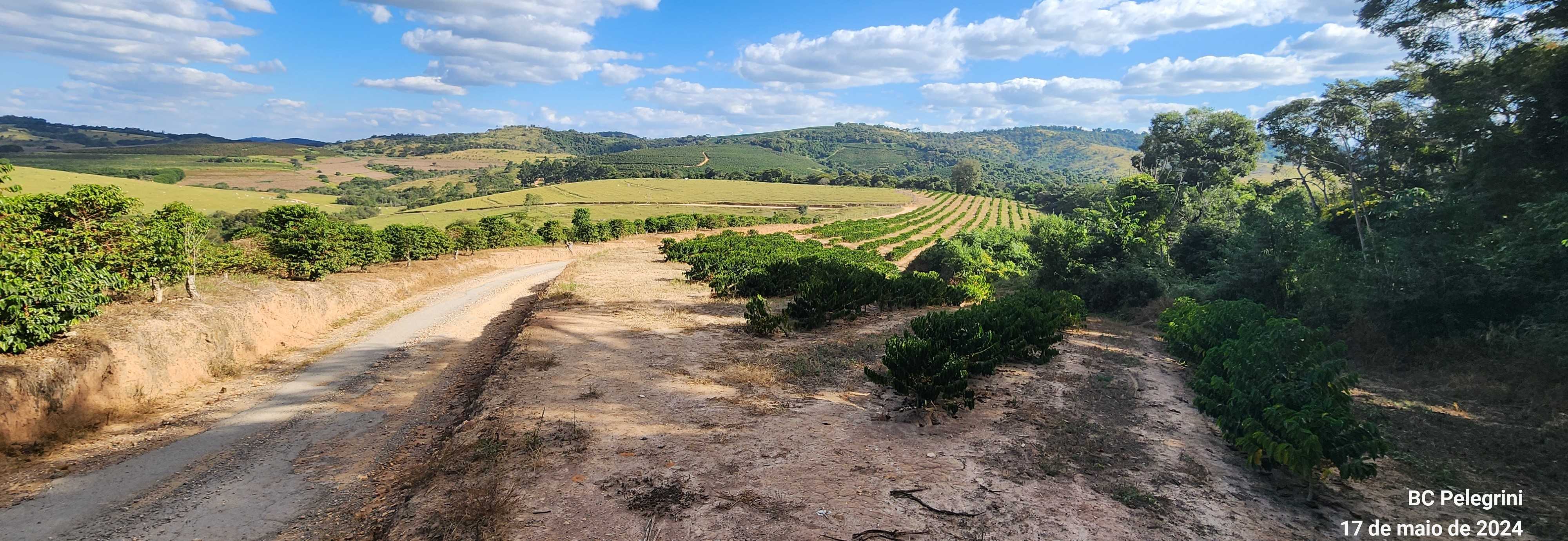 Chácara à venda com 9 quartos, 9450000m² - Foto 5