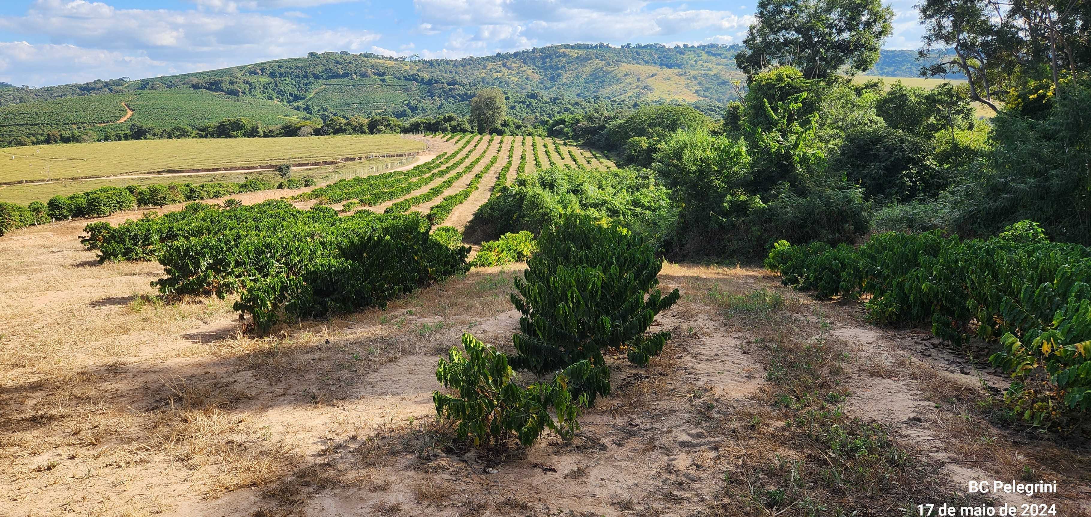 Chácara, 9 quartos, 945 hectares - Foto 4