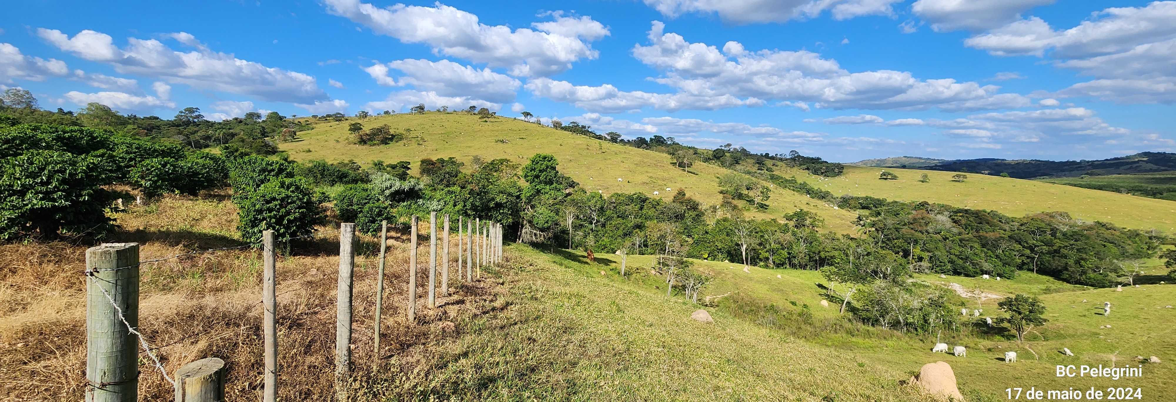 Chácara à venda com 9 quartos, 9450000m² - Foto 9