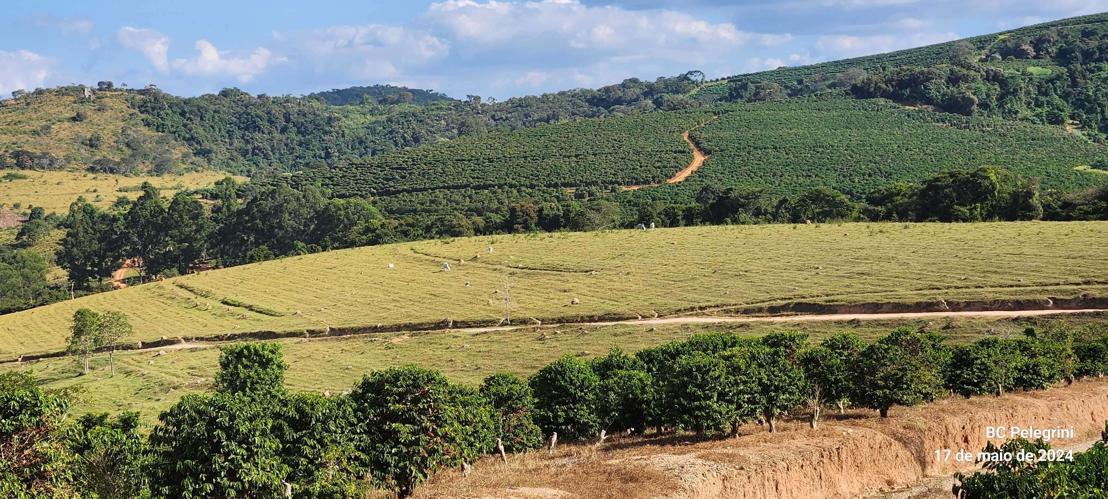 Chácara à venda com 9 quartos, 9450000m² - Foto 8