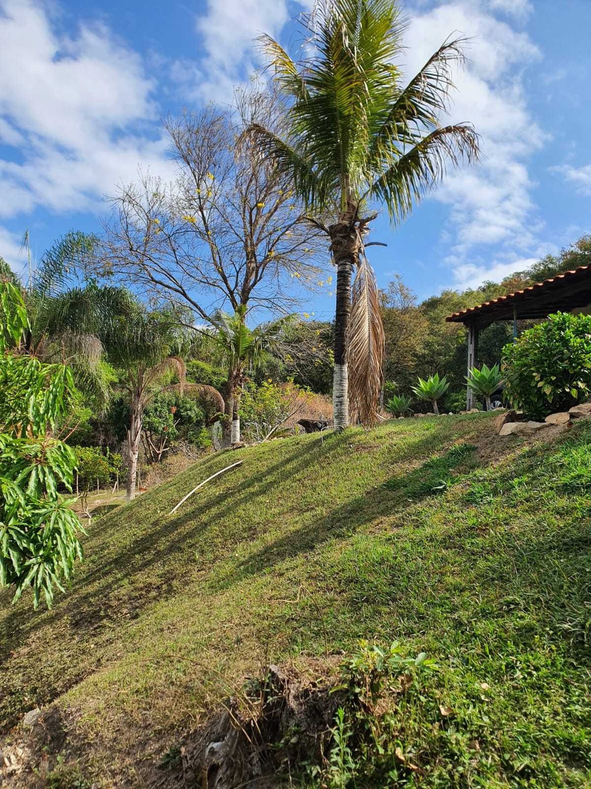 Chácara à venda com 5 quartos, 17000m² - Foto 7