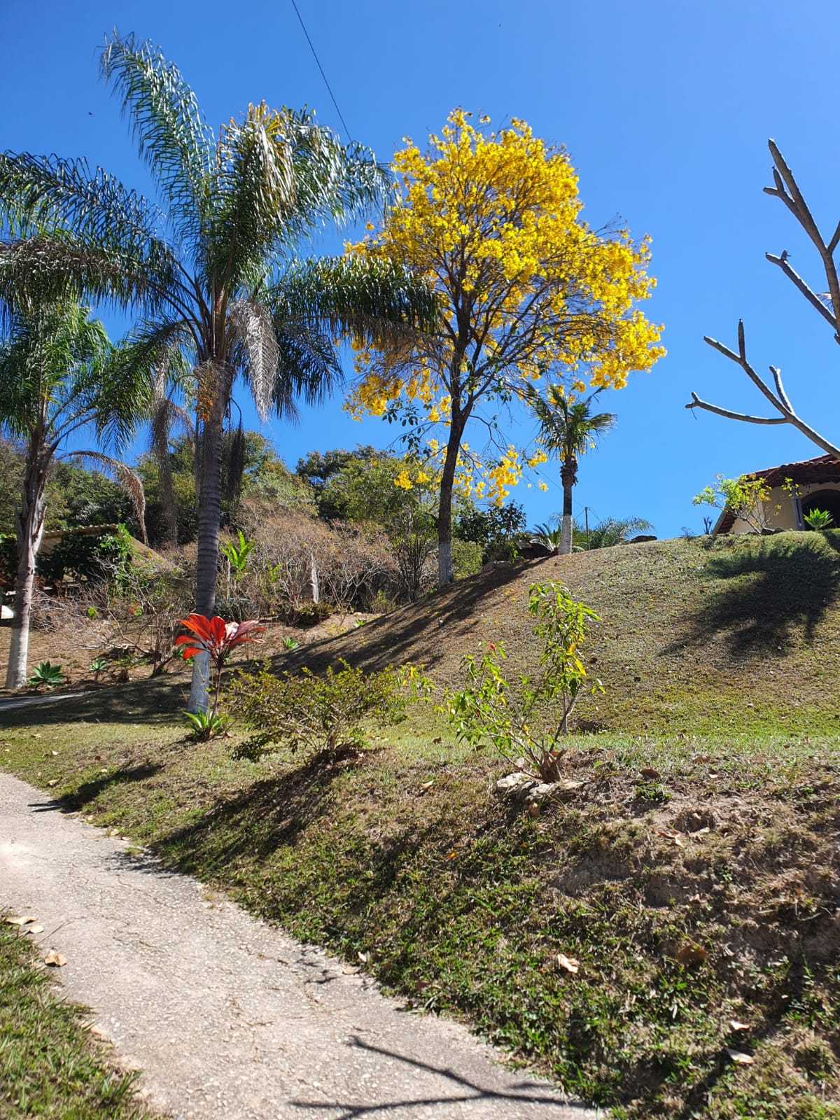 Chácara à venda com 5 quartos, 17000m² - Foto 2