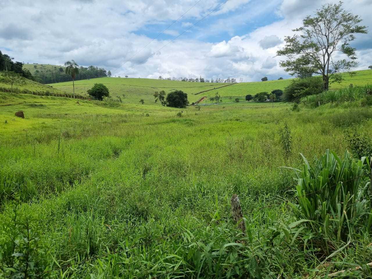 Chácara, 3 quartos, 34 hectares - Foto 3