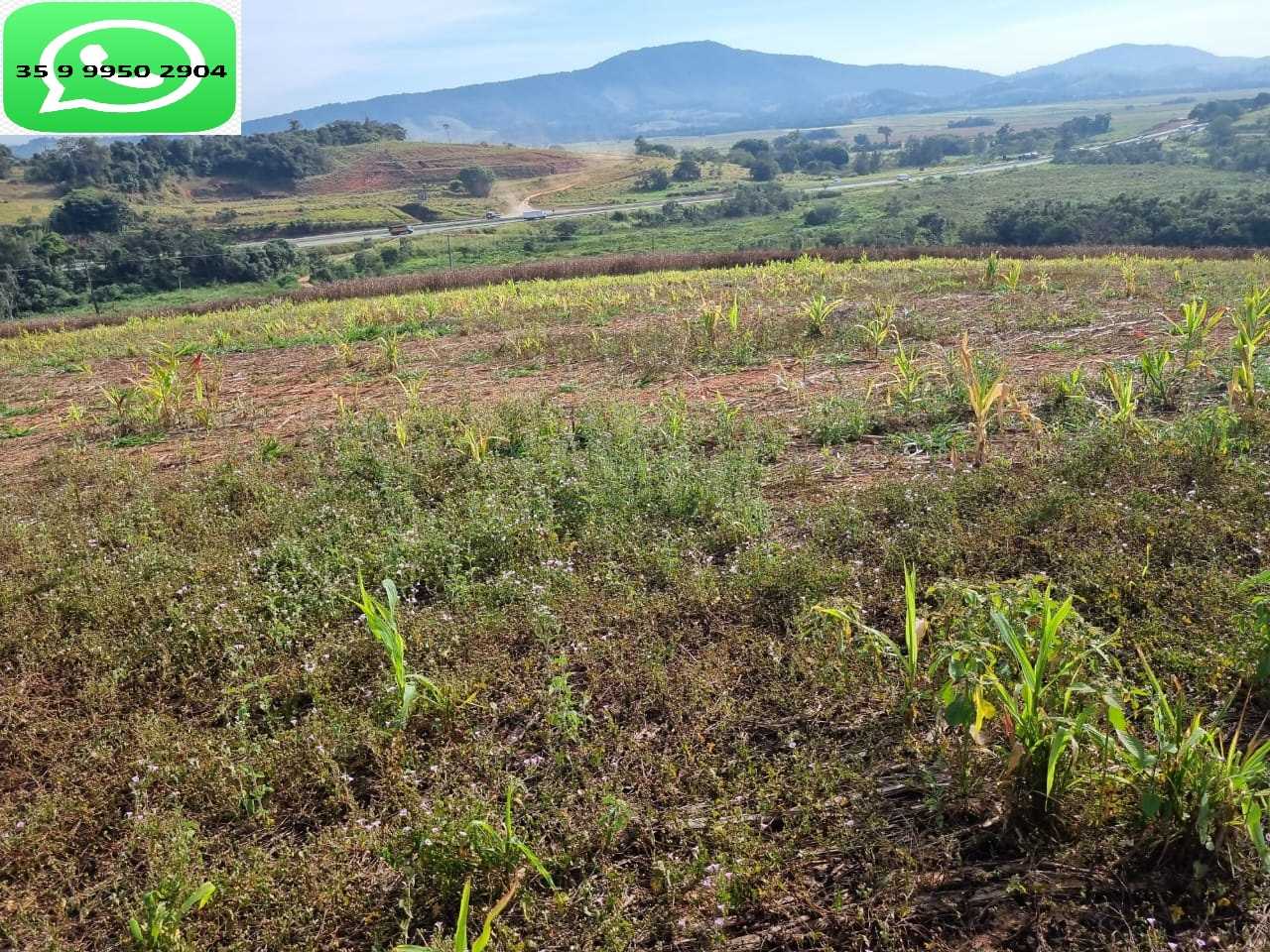 Chácara à venda com 1 quarto, 1600000m² - Foto 6