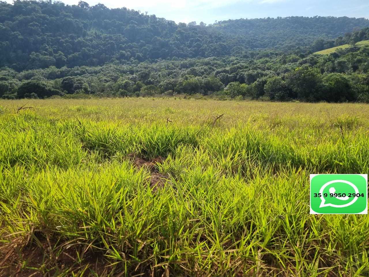 Chácara à venda com 1 quarto, 1600000m² - Foto 20