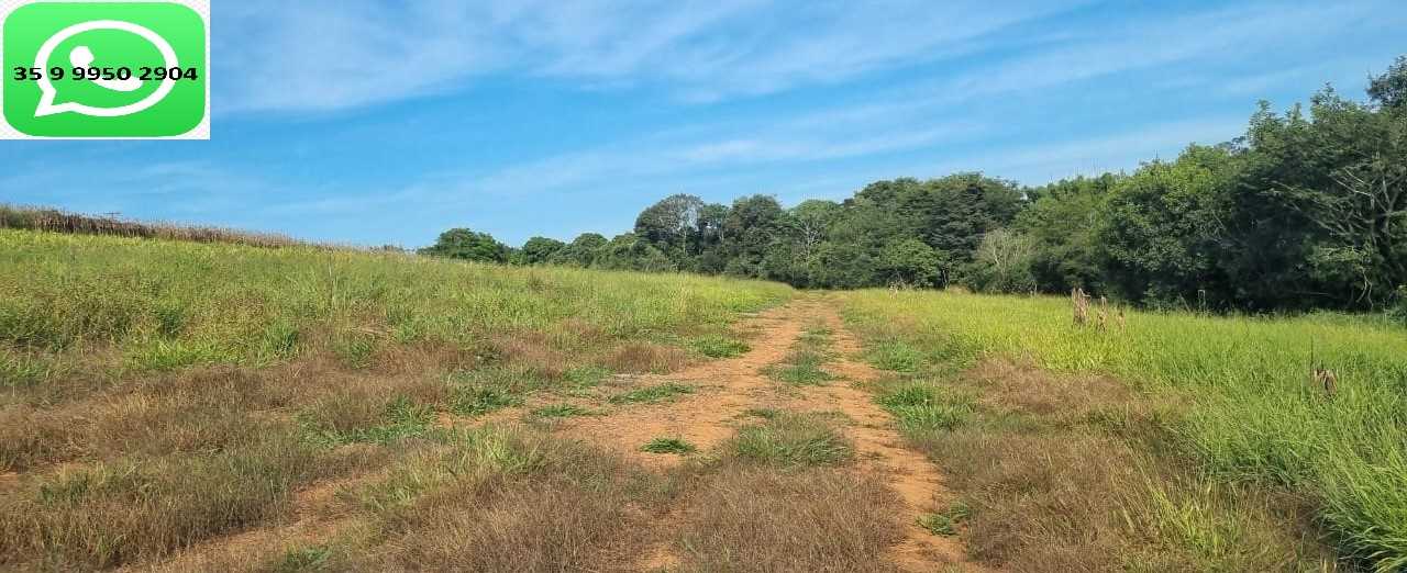 Chácara à venda com 1 quarto, 1600000m² - Foto 7