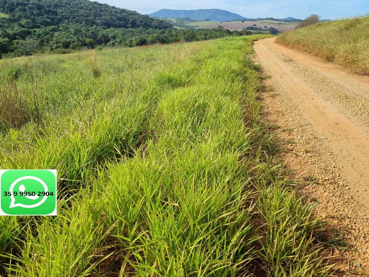 Chácara à venda com 1 quarto, 1600000m² - Foto 15