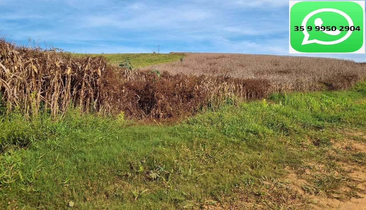 Chácara, 1 quarto, 160 hectares - Foto 1