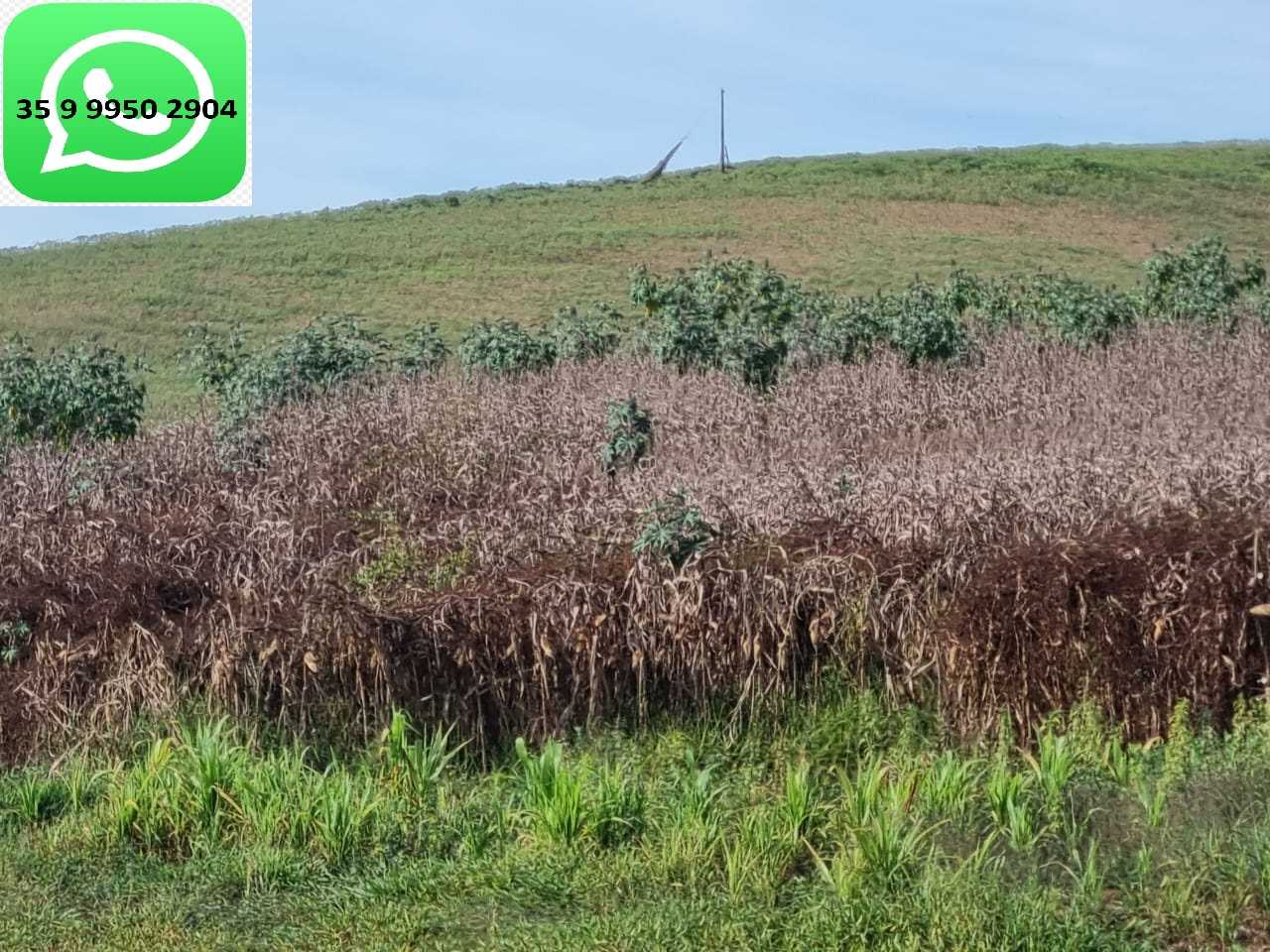 Chácara à venda com 1 quarto, 1600000m² - Foto 12